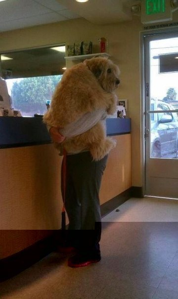 ---�������, ����� �� ������� � ��� �����?