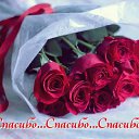 ���� ��������, ��������� - ��������� 17 ������ 2015 � ������ �������� ��������