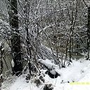 ���� ��������, �������� - ��������� 20 ������ 2015 � ������ ���� ��