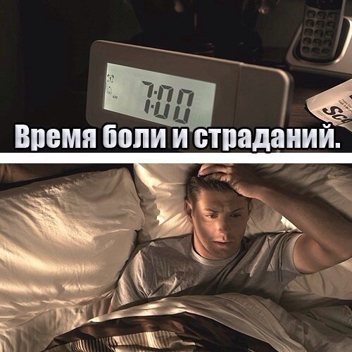 ☆   ☆ - 24  2015  09:11