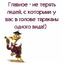 ���� �������, ������ - ��������� 1 ����� 2016 � ������ ������ ��������