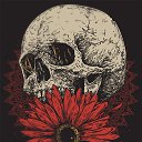 ���� Ma����, ������������, 32 ���� - ��������� 3 ������ 2015 � ������ ������ ��������