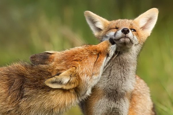       (Roeselien Raimond) - 2