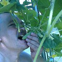 ���� ������, ����, 64 ���� - ��������� 2 ������� 2015