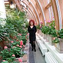 ���� �����, ������������ - ��������� 7 ������� 2016 � ������ �������. �����-������� ��������.�