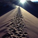 ���� ������, ������, 33 ���� - ��������� 26 ������ 2016