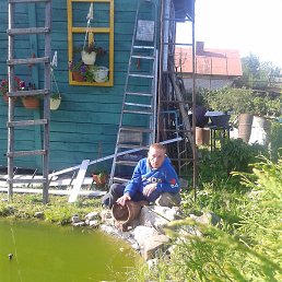 ��������, �������, 53 ����