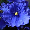 ���� ������ - ������� ����, ������ - ��������� 14 ������� 2016