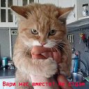 ���� �����, ����� - ��������� 23 ������� 2015 � ������ �����