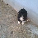 ���� Ivan, ������, 59 ��� - ��������� 17 ������� 2016 � ������ ������ ��������