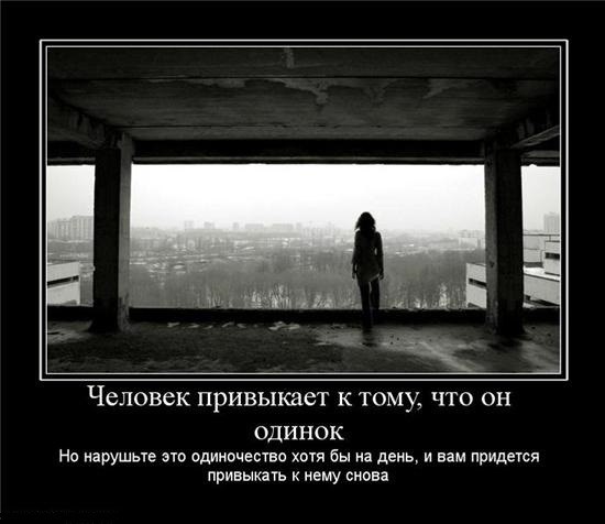 Скрасил одиночество одинокой домохозяйки Скрасил одиночество одинокой домохозяйки