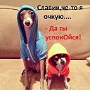 ���� �����, �������������, 47 ��� - ��������� 13 ������ 2016 � ������ ������ ��������