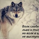 ���� ������, �����-���������, 46 ��� - ��������� 1 ������� 2015 � ������ ������ ��������