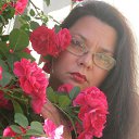 ���� �����, �����, 54 ���� - ��������� 2 ������ 2015 � ������ ���� ����������