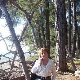 ���� �����, ���������� - ��������� 8 ����� 2016