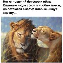 ���� ����, ������, 49 ��� - ��������� 6 ������ 2015 � ������ ������ ��������