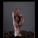 ���� Dan, ������, 52 ���� - ��������� 22 ������ 2015 � ������ ������ ��������