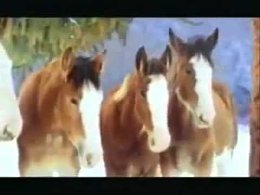 Энрико Масиас