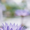 ���� N@taly, �������� - ��������� 7 ������� 2015