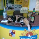 �����������!!! �� ������� �������