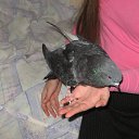 ���� ������, ������, 46 ��� - ��������� 4 ������ 2016 � ������ ���� ����������