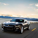 ���� ������, ���, 46 ��� - ��������� 20 ������ 2016 � ������ ���� ����������