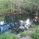 ���� �������, ��������� - ��������� 5 ������� 2015