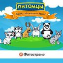 ���� ���������, ���������� - ��������� 13 ������ 2016 � ������ ���� ����������