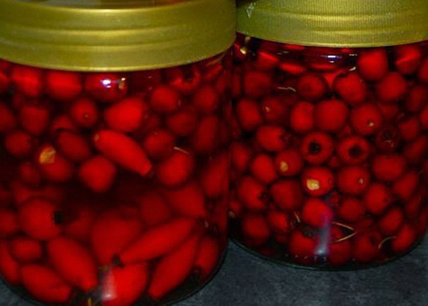 Настойка для желудка избавила от давления.У меня повышенная кислотность желудка, это, конечно, не ...