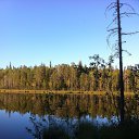 ���� �����, ����������, 49 ��� - ��������� 18 ������� 2015 � ������ ���� ����������