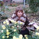 ���� ˸��, ������, 54 ���� - ��������� 16 ������ 2015 � ������ ���� ���� ������