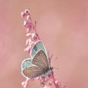  ,  -  18  2016     Ȼ