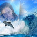 ���� �����, ����, 43 ���� - ��������� 30 ������ 2016 � ������ ���� ����������