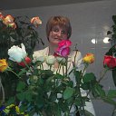 ���� �������, ����, 54 ���� - ��������� 24 ������� 2016 � ������ ���� ����������