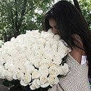 ���� ����������, ���������� - ��������� 1 ������ 2015 � ������ ������ ��������