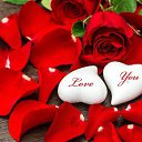  Cabten Khaled, , 57  -  5  2016    