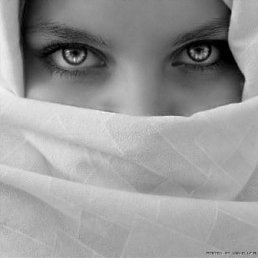 Yulka, �����������