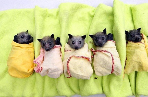 "� ����, ������� �� ������� ����!" - 6