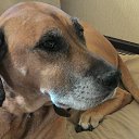 ���� ����, �����������, 50 ��� - ��������� 15 ������� 2015 � ������ ���� ����������