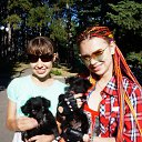 ���� ���, �����, 29 ��� - ��������� 17 ������ 2015 � ������ �������