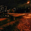 ���� �����, ���� - ��������� 29 ������ 2016 � ������ ������ ��������