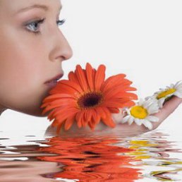 �����, �����������, 43 ����