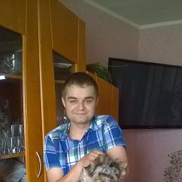 ������ ������, �����������, 37 ���