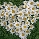 ���� ������..)), ������, 52 ���� - ��������� 30 ������� 2015 � ������ ���� ����������