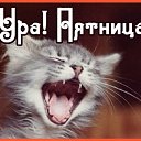 ���� ���������, �����������, 63 ���� - ��������� 10 ������ 2016 � ������ �������� ��������