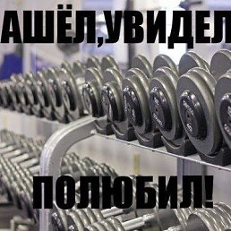 ���������, �����������