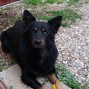 ���� ����, ������, 64 ���� - ��������� 29 ������� 2016 � ������ ���� ����������