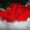 ���� *�������*, ������ - ��������� 30 ������� 2015