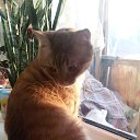 ���� ��������, �����, 45 ��� - ��������� 14 ������� 2016 � ������ �������