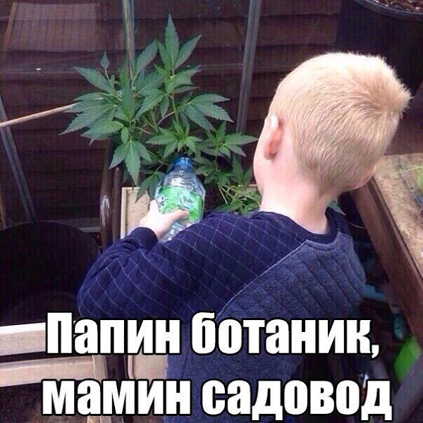  - 5  2016  13:50